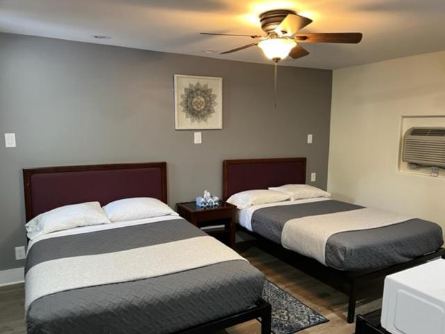 Nightshade Inn & Gardens Camillus 외부 사진